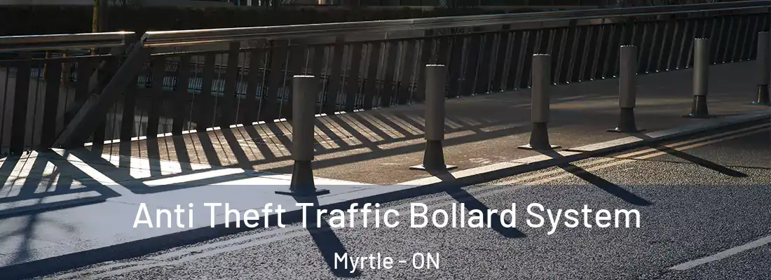  Anti Theft Traffic Bollard System Myrtle - ON