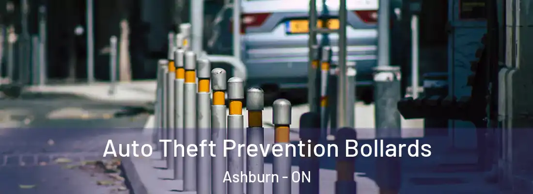  Auto Theft Prevention Bollards Ashburn - ON