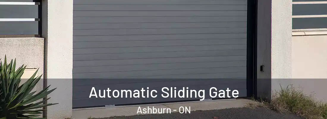  Automatic Sliding Gate Ashburn - ON