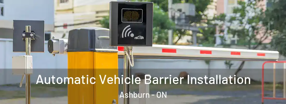  Automatic Vehicle Barrier Installation Ashburn - ON