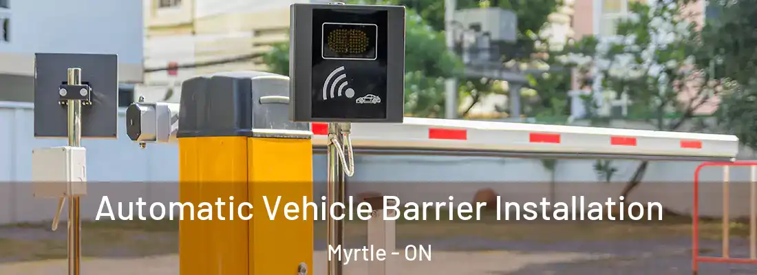  Automatic Vehicle Barrier Installation Myrtle - ON