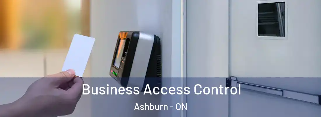  Business Access Control Ashburn - ON