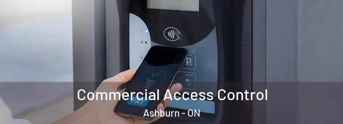  Commercial Access Control Ashburn - ON