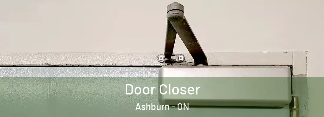  Door Closer Ashburn - ON