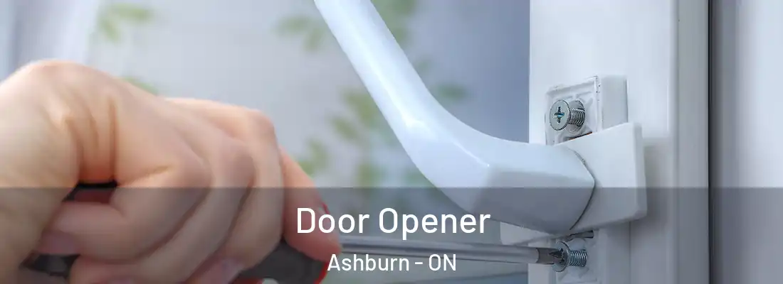  Door Opener Ashburn - ON