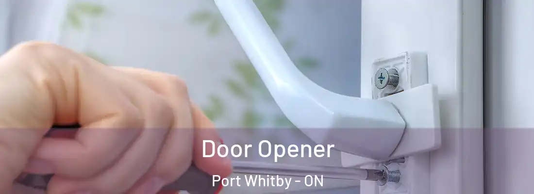  Door Opener Port Whitby - ON