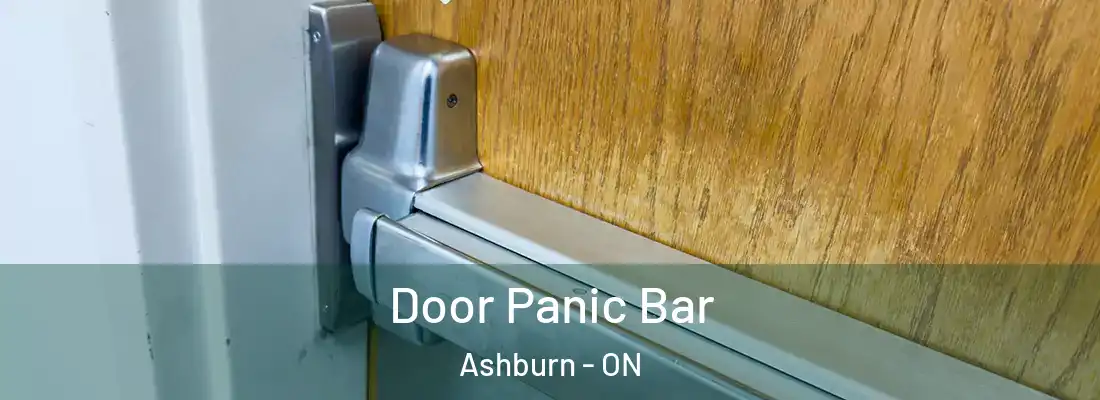  Door Panic Bar Ashburn - ON