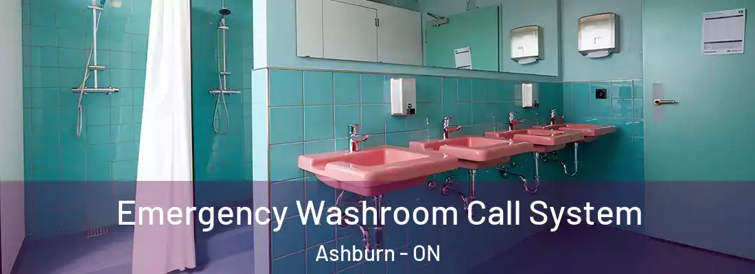  Emergency Washroom Call System Ashburn - ON
