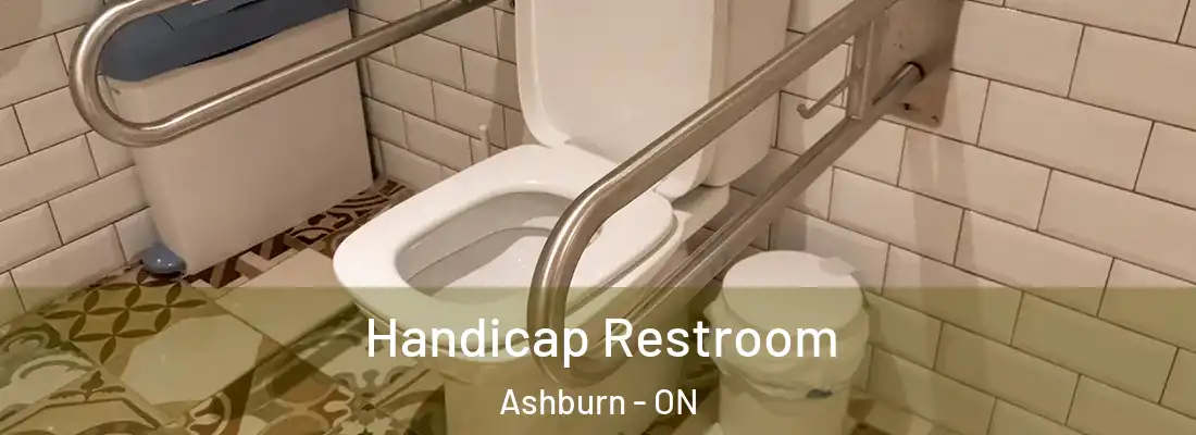  Handicap Restroom Ashburn - ON