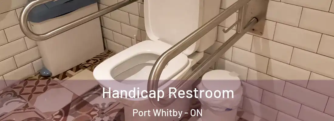  Handicap Restroom Port Whitby - ON