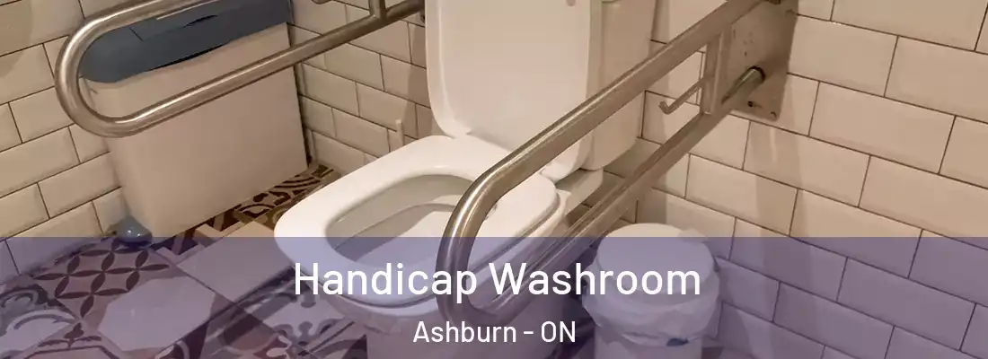  Handicap Washroom Ashburn - ON