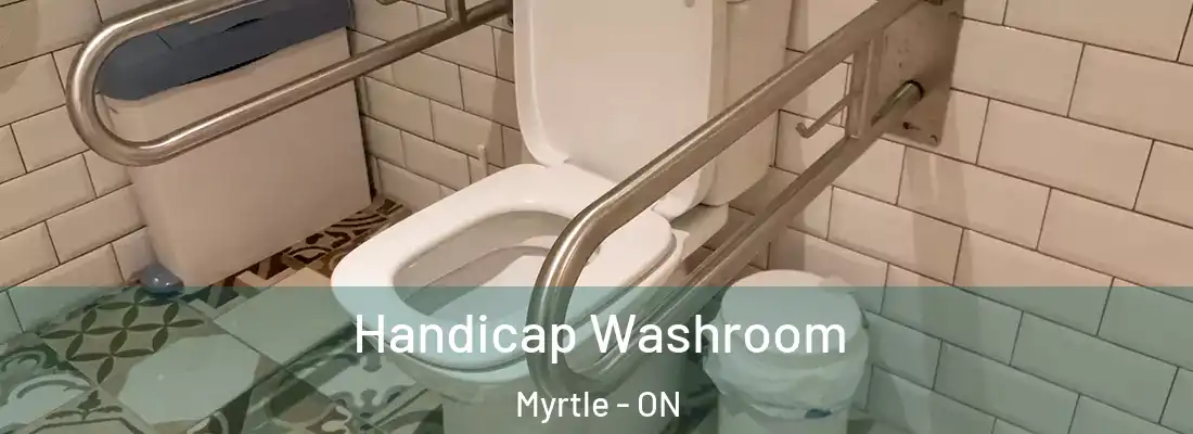  Handicap Washroom Myrtle - ON