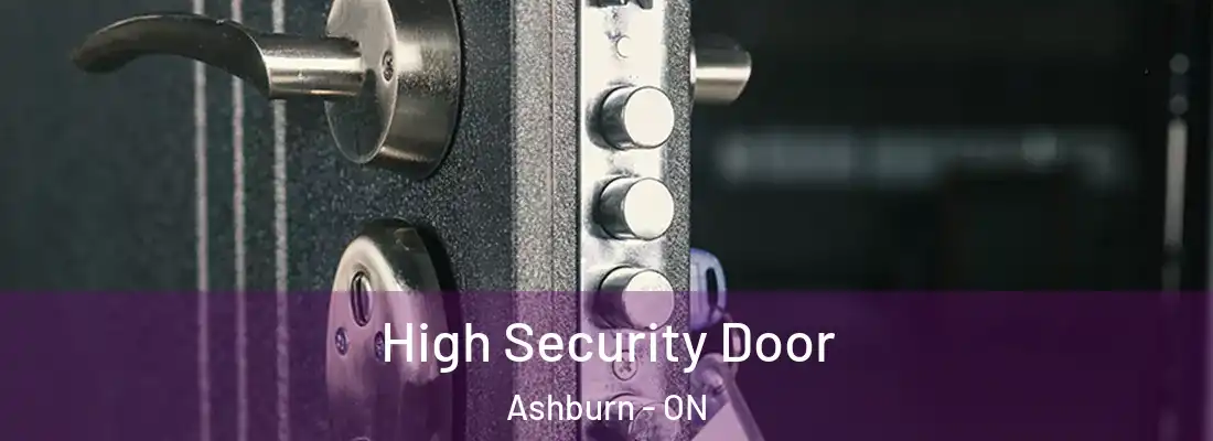  High Security Door Ashburn - ON