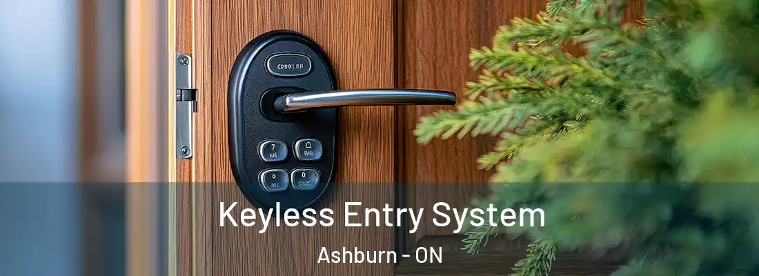  Keyless Entry System Ashburn - ON
