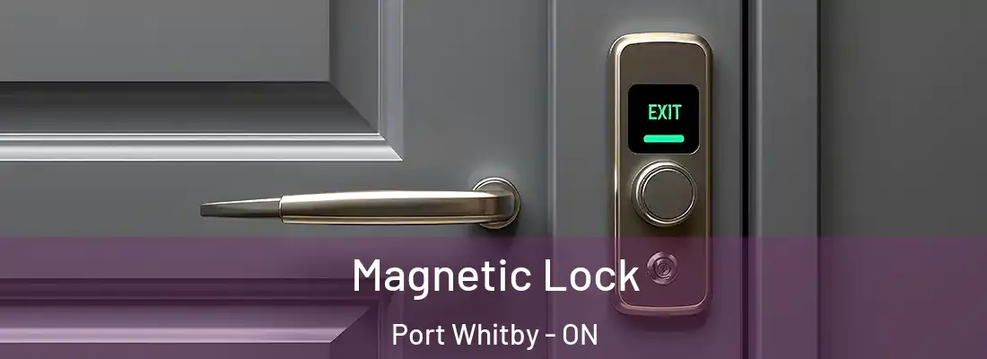 Magnetic Lock Port Whitby - ON