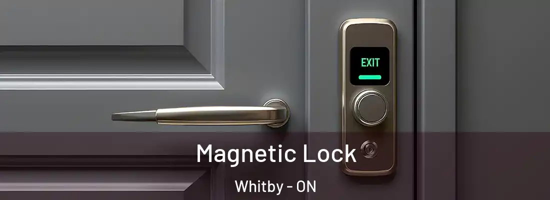  Magnetic Lock Whitby - ON