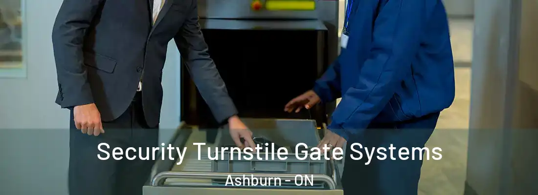  Security Turnstile Gate Systems Ashburn - ON