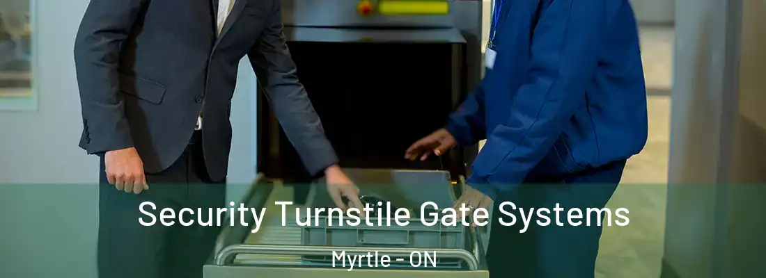  Security Turnstile Gate Systems Myrtle - ON