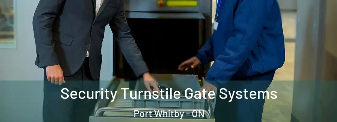  Security Turnstile Gate Systems Port Whitby - ON