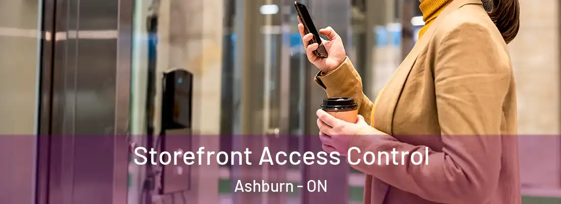  Storefront Access Control Ashburn - ON